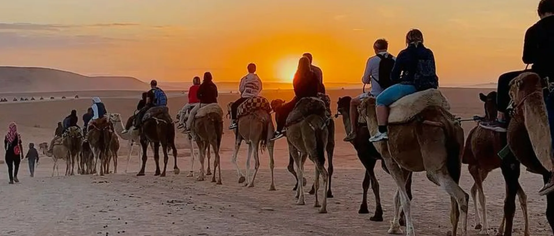 Caravane de dromadaires au coucher du soleil dans le désert d’Agafay